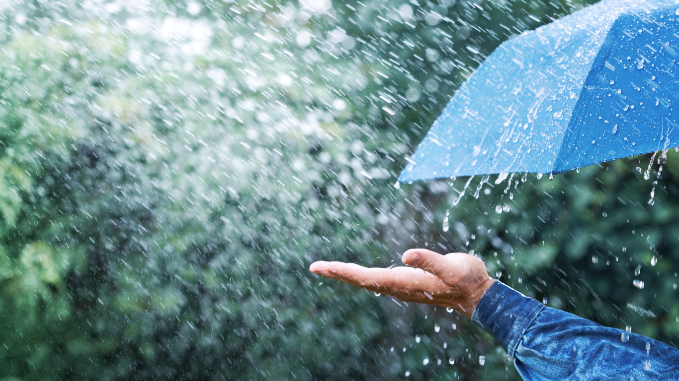 Rainy Season in Ocala: Why Covered, Drive-Up Storage Matters More Than Ever